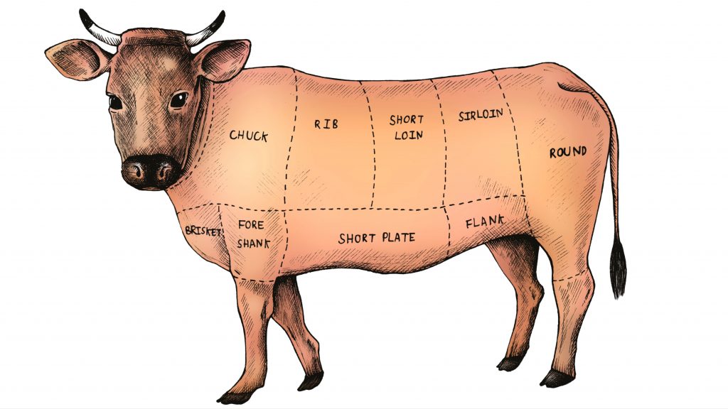 Drawing of a cow showing the cuts of beef on the animal.
